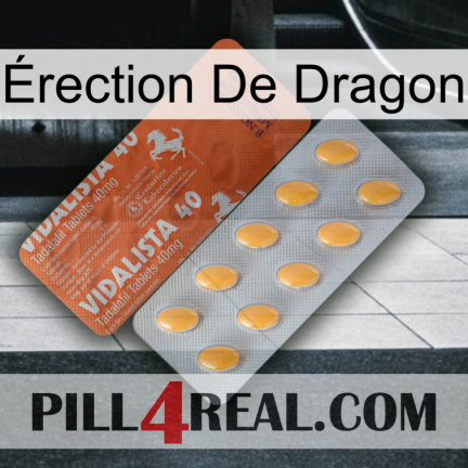 Érection De Dragon 43